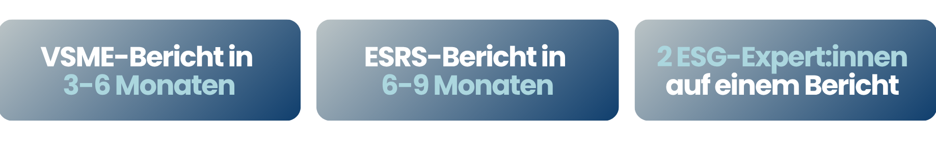 VSME-Bericht in 3-6 Monaten (1)