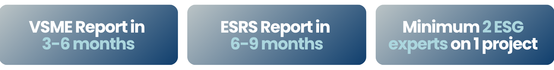 VSME-Bericht in 3-6 Monaten (1)