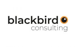 artikel-blackbird-q1kb1dj3gwvt81s02im0dyy79mm0tbyabeteomkywo